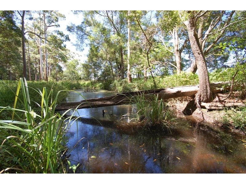 Doonan QLD 4562