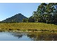 Eumundi QLD 4562
