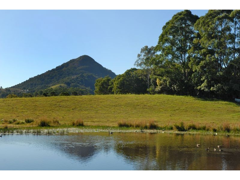 Eumundi QLD 4562