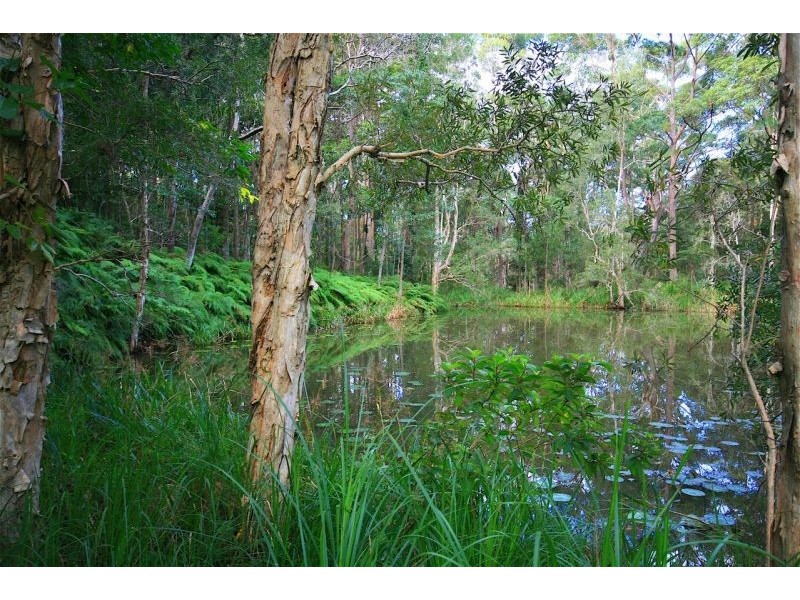 31 Litfin Rd, Doonan QLD 4562