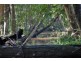 Pomona QLD 4568