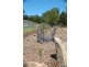 L9 to 21 Brialka Park, Cooroy QLD 4563