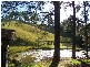 Cooroy QLD 4563