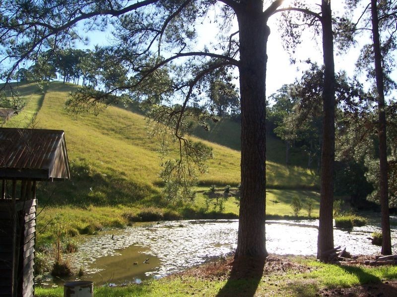 Cooroy QLD 4563