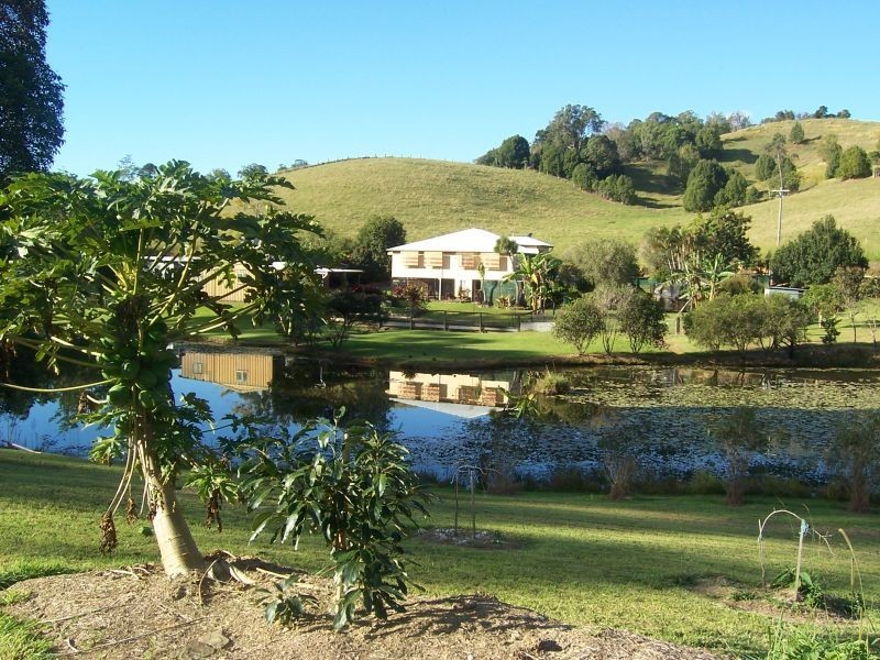 Cooroy QLD 4563