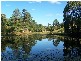 Cooroy QLD 4563