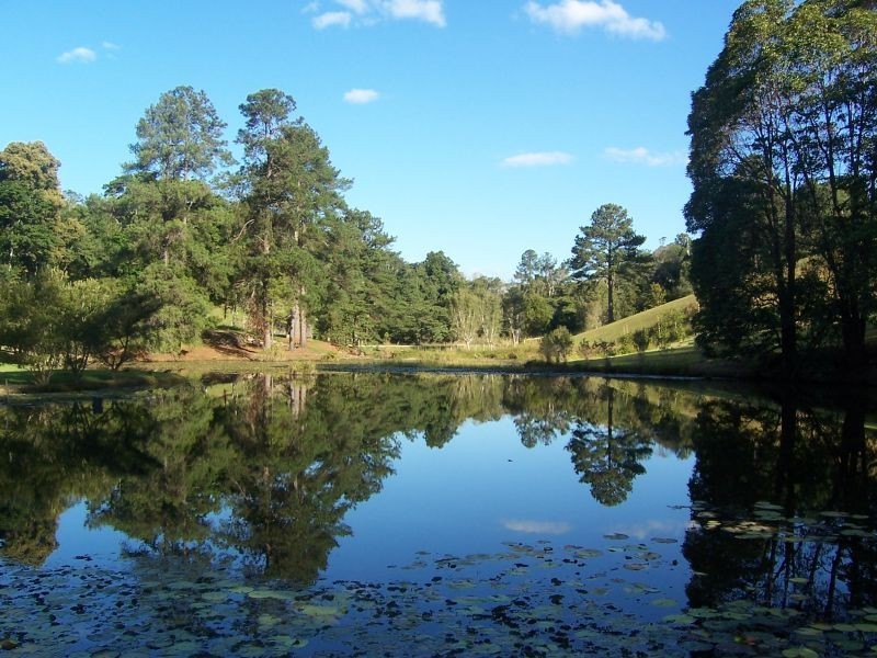Cooroy QLD 4563