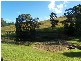 Cooroy QLD 4563
