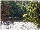 Cooroy QLD 4563