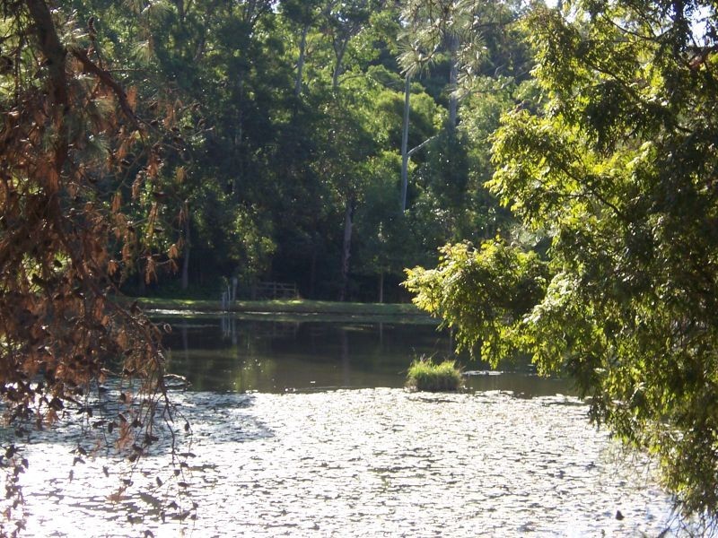 Cooroy QLD 4563