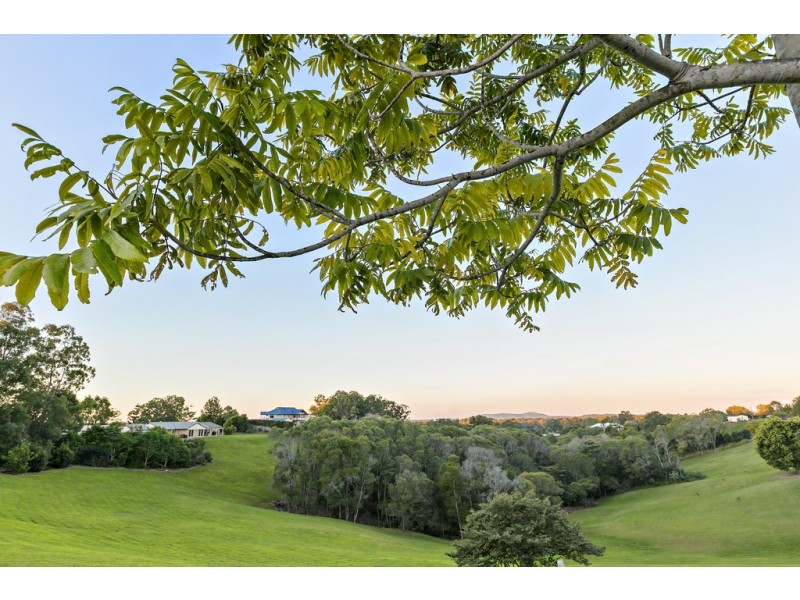 174 Blueberry Drive, Black Mountain QLD 4563