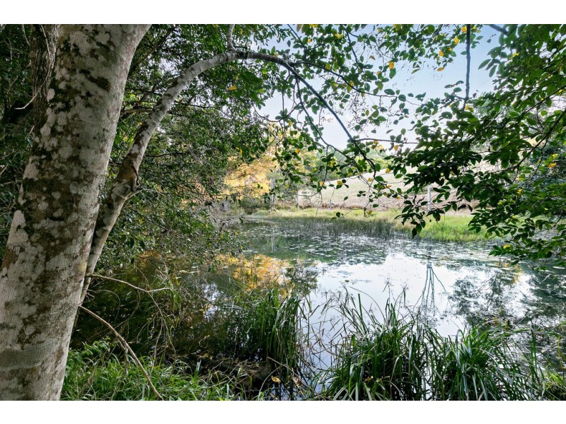 174 Blueberry Drive, Black Mountain QLD 4563