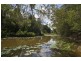 262 Cooroy Mountain Road, Cooroy Mountain QLD 4563