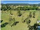 Eumundi QLD 4562