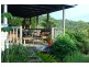 Eumundi QLD 4562