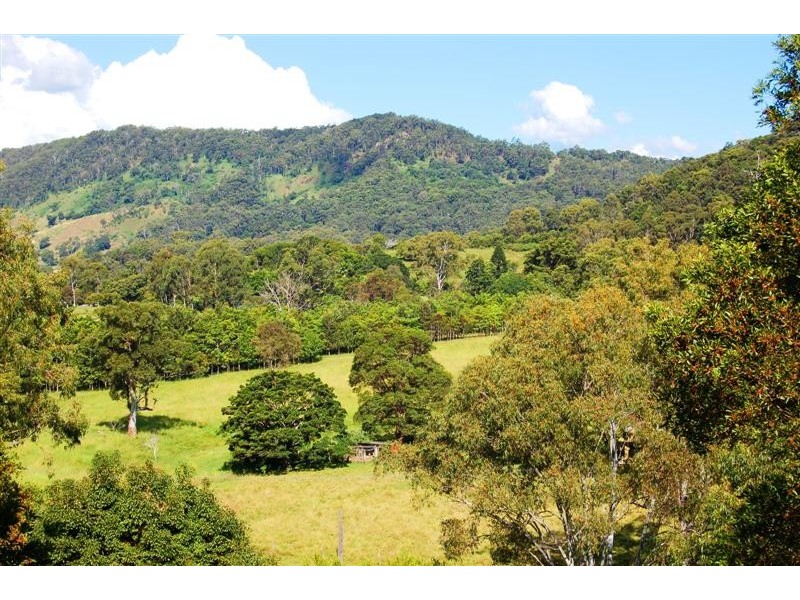 Eumundi QLD 4562