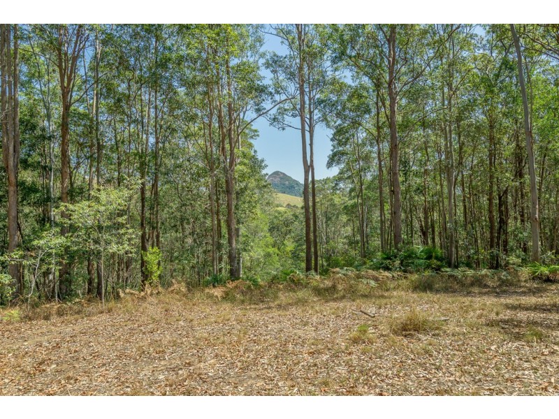 Doonan QLD 4562