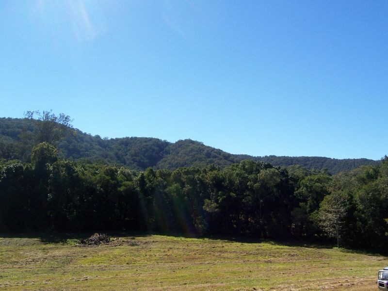 Eumundi QLD 4562