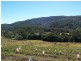 Eumundi QLD 4562