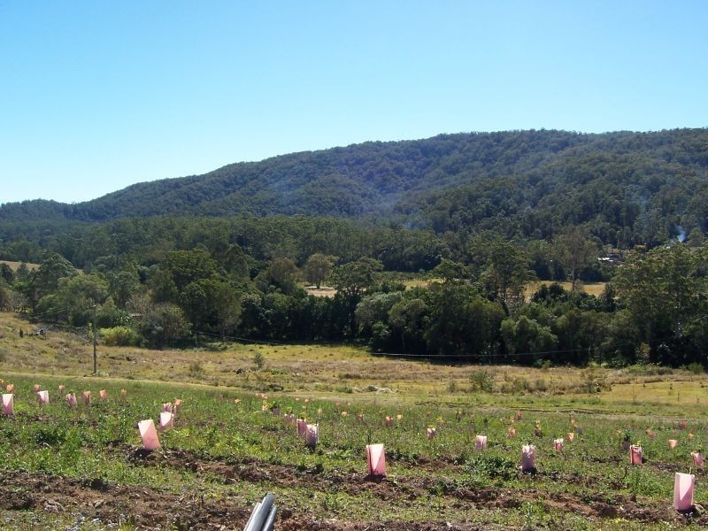 Eumundi QLD 4562