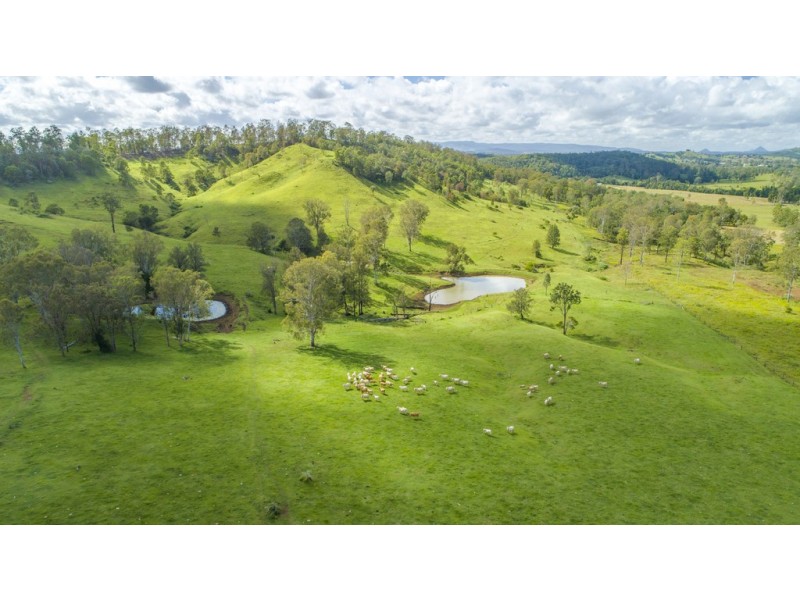 547 Rocks Road, Pie Creek QLD 4570