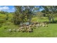 547 Rocks Road, Pie Creek QLD 4570