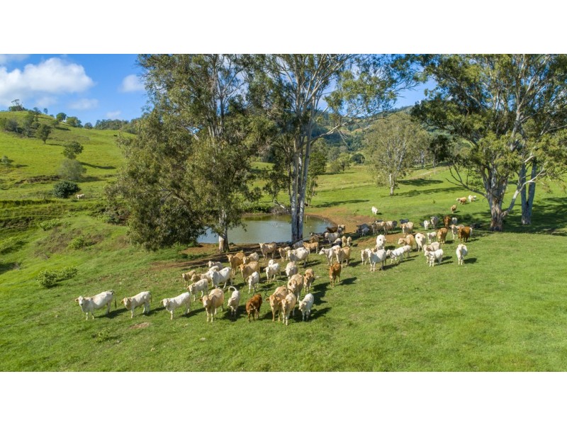 547 Rocks Road, Pie Creek QLD 4570