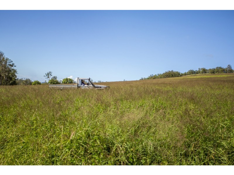 547 Rocks Road, Pie Creek QLD 4570