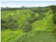 Traveston QLD 4570