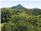 24 Solar Road, Eumundi QLD 4562