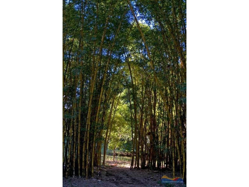 24 Solar Road, Eumundi QLD 4562