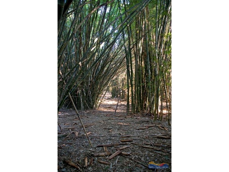 24 Solar Road, Eumundi QLD 4562