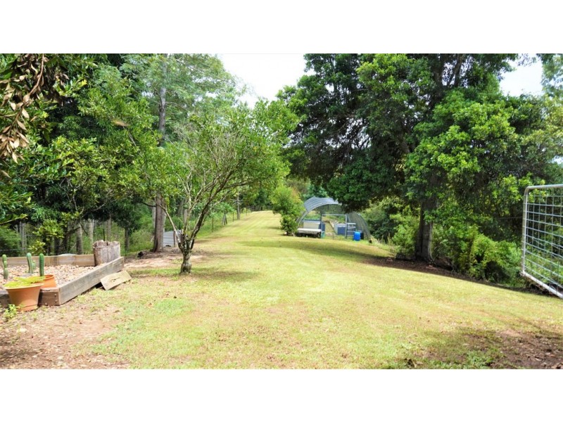 Black Mountain QLD 4563