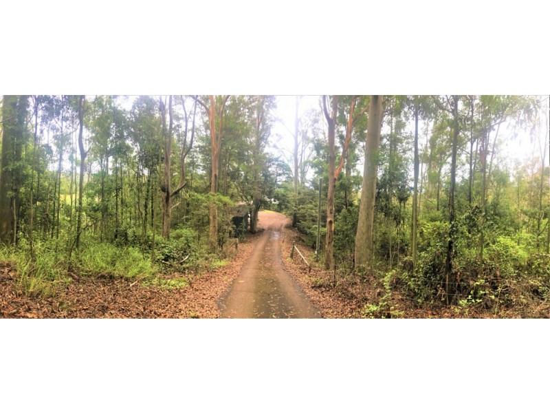 Black Mountain QLD 4563