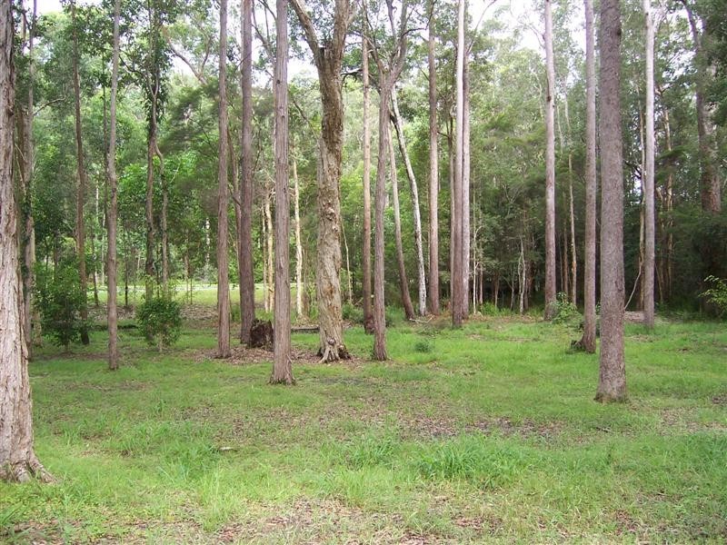 Doonan QLD 4562