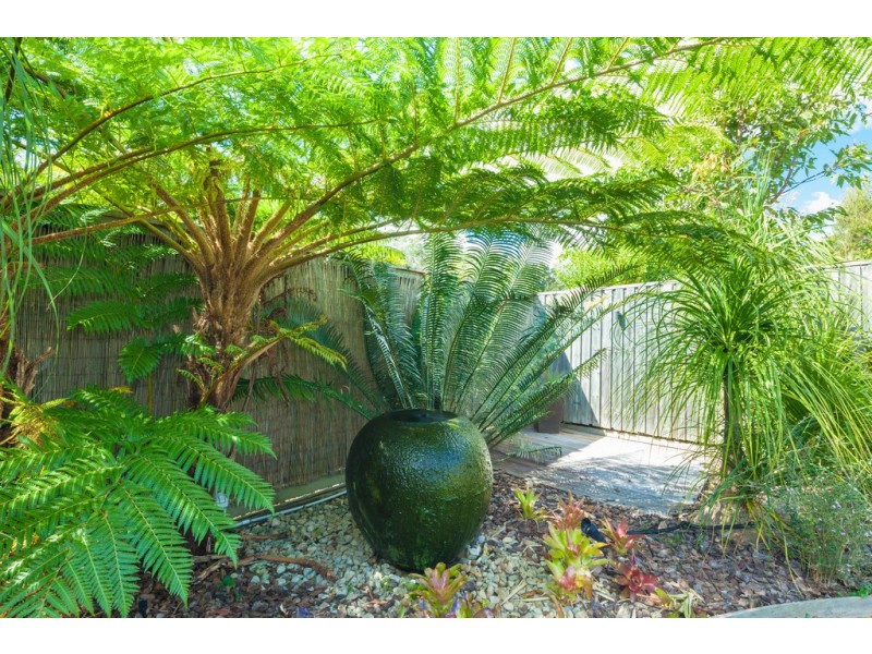 22 Prospect Pl, Cooroy QLD 4563