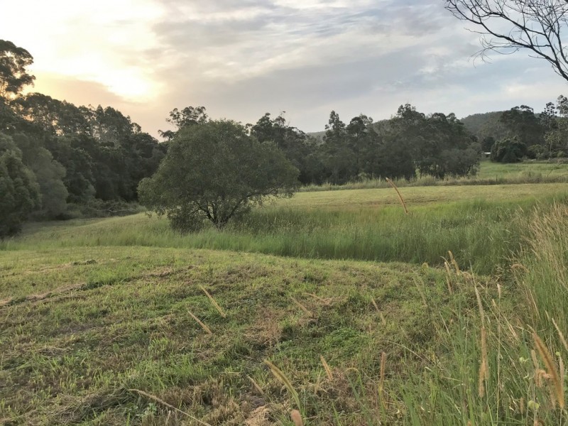 361 Schreibers Road, Cooran QLD 4569