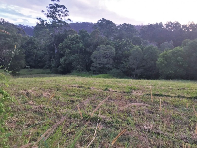 361 Schreibers Road, Cooran QLD 4569