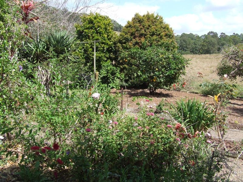 5 Henry Street, Cooran QLD 4569