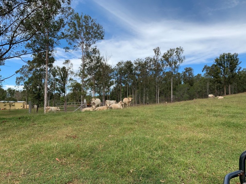 499 Rocks Road, Pie Creek QLD 4570