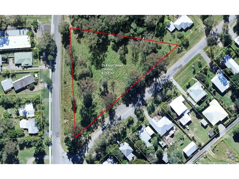 25 Kauri Street, Cooroy QLD 4563