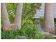80 Valley Dr, Doonan QLD 4562