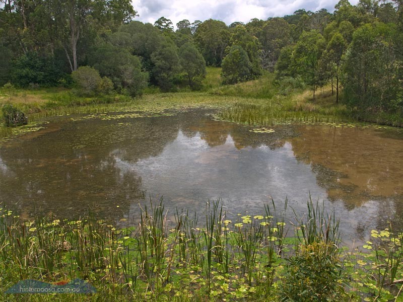 2 Old Mill Road, Cooroy QLD 4563