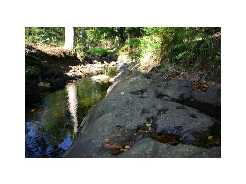 Eumundi QLD 4562