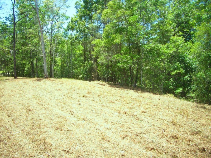 81-85 (lot 5) Jocelyn Dr, Eumundi QLD 4562