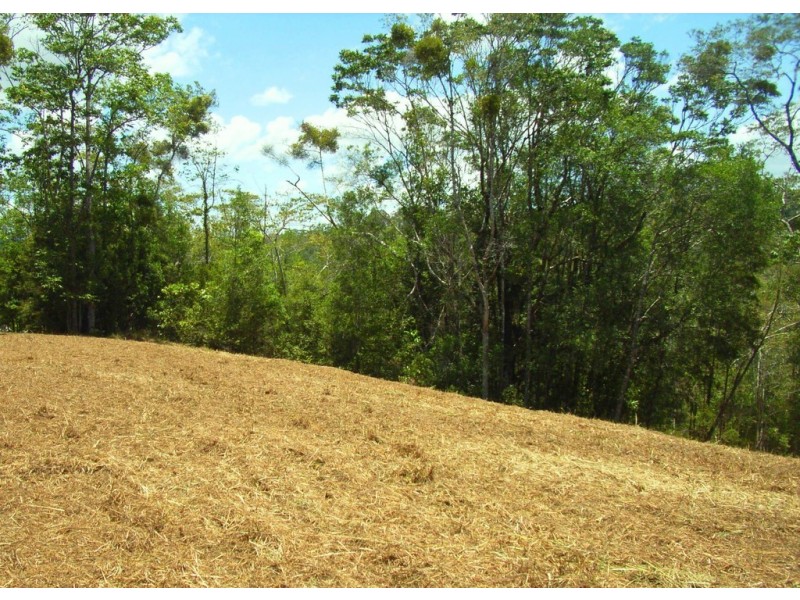 81-85 (lot 5) Jocelyn Dr, Eumundi QLD 4562