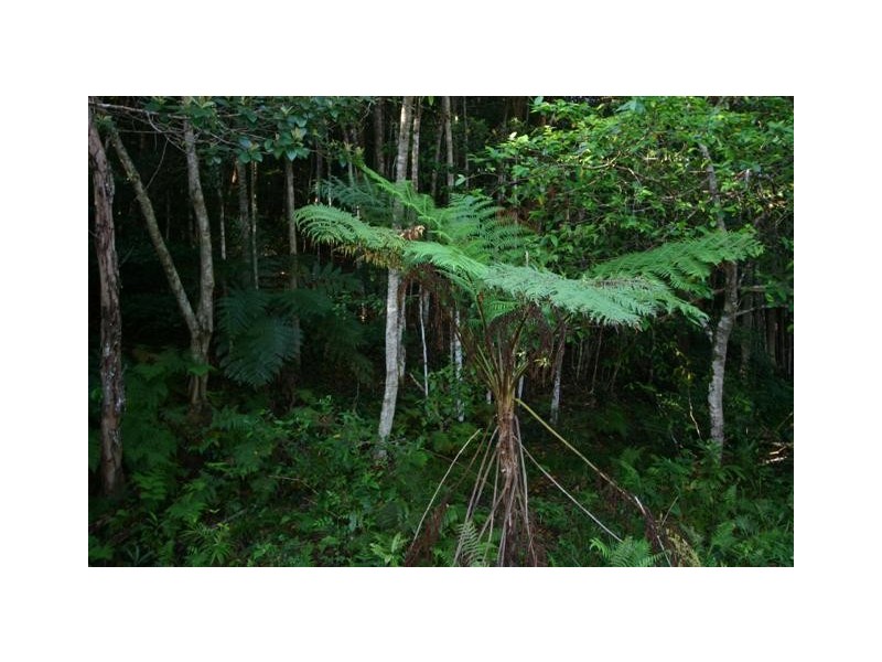 Lot 6 Cedar Springs, Jocelyn Dr, Doonan QLD 4562