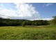 Lot 8 Cedar Springs, Jocelyn Dr, Eumundi QLD 4562