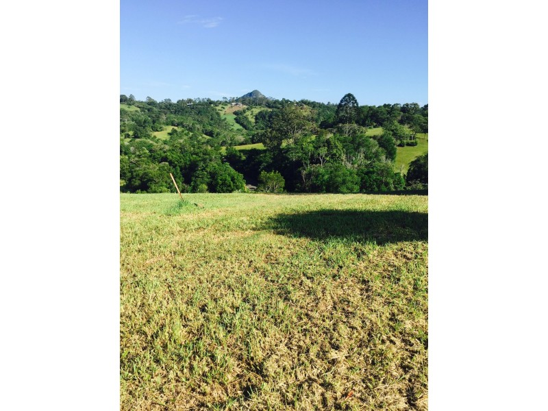 134 Jocelyn Drive, Eumundi QLD 4562