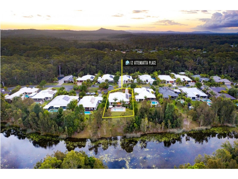 12 Attenuatta Place, Noosaville QLD 4566